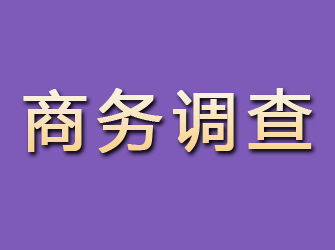 堆龙德庆商务调查